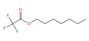 Heptyl trifluoroacetate